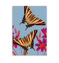Ixia Butterfly | Postcard